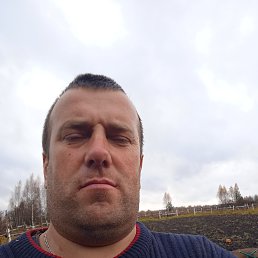 , 29, 