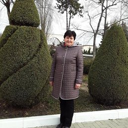 �������, ���������, 66 ���