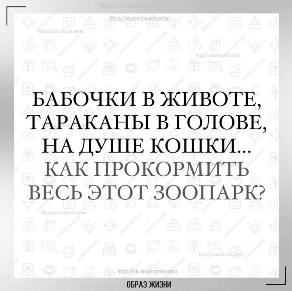 Co-Motivation.... . - 28  2024  19:54