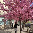 ���� �������, �������, 63 ���� - ��������� 6 ������ 2026 � ������ ���� ����������