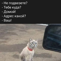 ������, �������