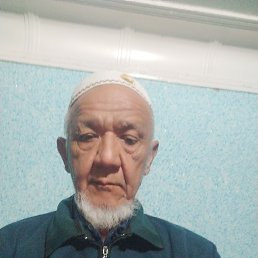 , 66, 
