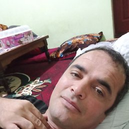 �����, ������, 41 ���