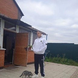 , 37, 