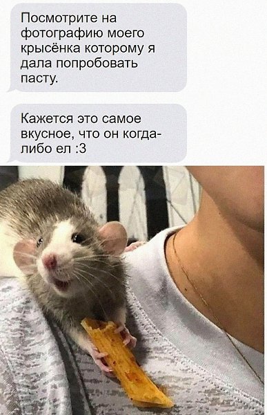    - 26  2025  08:21