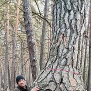 �������, 48 ���, ������