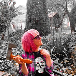 �����, ������, 37 ���