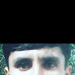 , 36, 
