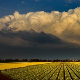 ���� �����, ������������, 50 ��� - ��������� 7 ������ 2025