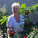  Larisa, , 71  -  20  2024    