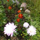 ���� ������, �����-���������, 62 ���� - ��������� 24 �������� 2025 � ������ �������