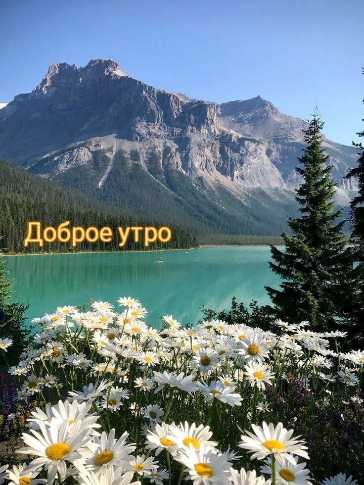   ,    . - 14  2025  06:45 - 2