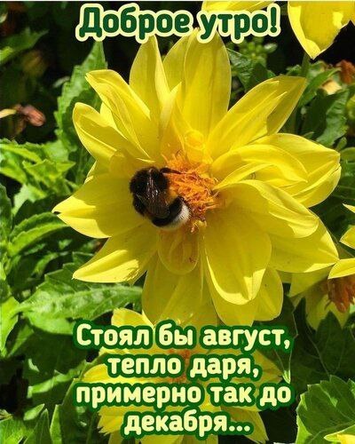   ,    . - 1  2025  07:38 - 2