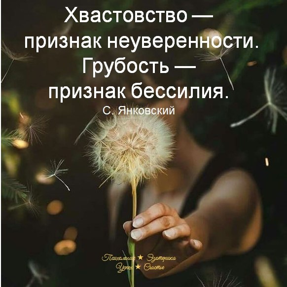 �������� ������ - 15 ���� 2026 � 16:03