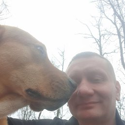 ������, ������, 50 ���