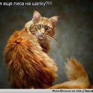 �����, 47 ���, ������