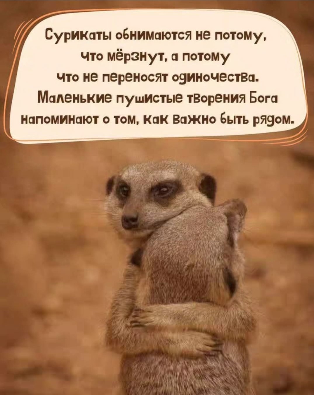  - 16  2025  15:05