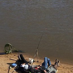 ������, ������, 57 ���