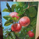 ���� �������, ������, 44 ���� - ��������� 5 ������� 2026 � ������ ���� ����������