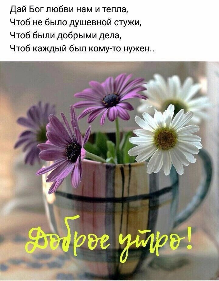   ,    . - 8  2024  00:04