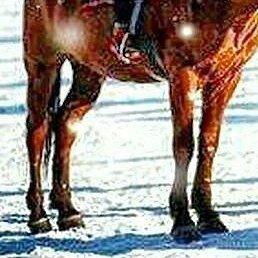 ����, �����, 32 ����