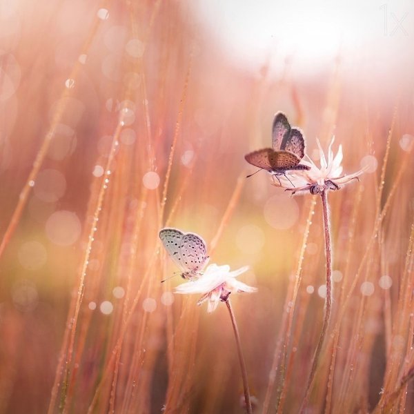 �� ���� ���� ������ �������� �����. �� �� ���� ���� ����� �������� �����, ������� �������� ������� ...