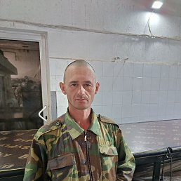 , 37, 