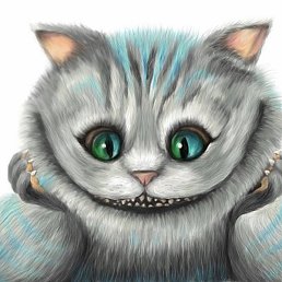 �����, ������