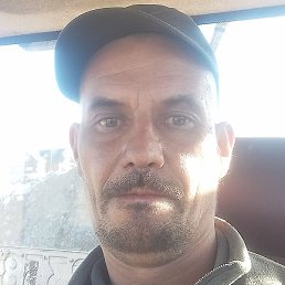 ������, �����������, 41 ���