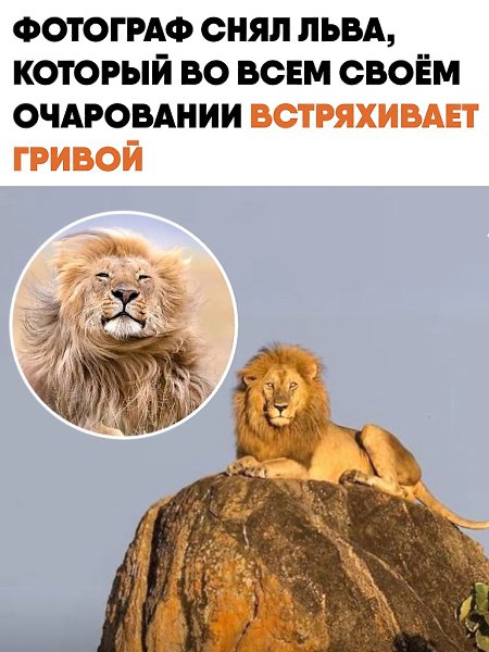 �������� ���������� ���� �� ������� ���������� �����. ����� ��� ������ ������������� ������ ...