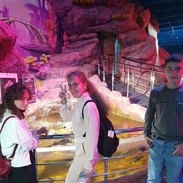 �����, ������, 43 ����