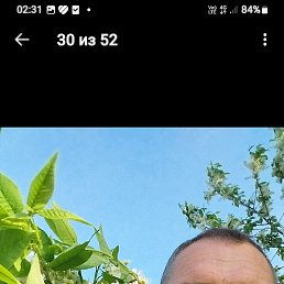 ����, ������, 55 ���