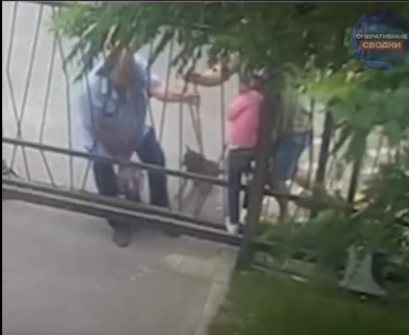 В Волгограде маленькая девочка застряла в створках автоматических ворот в момент их внезапного ...