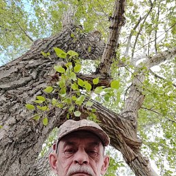 ������, ���������, 63 ����