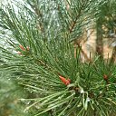 ���� �������, ������, 58 ��� - ��������� 7 ������� 2025 � ������ ���� ���� - �� �������