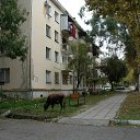 ���� ������, �����-���������, 52 ���� - ��������� 2 ������� 2024 � ������ ��������_���������