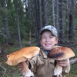, 35, -