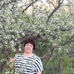 ���� ������, �������, 68 ��� - ��������� 4 ������� 2023