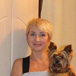 �����, ������������, 66 ���