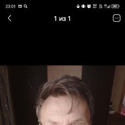 , 63, 
