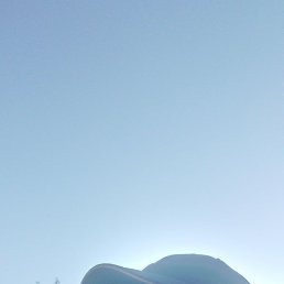 ������ ��������, 37 ���, ������