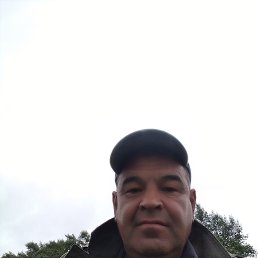 , 56 , 