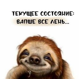 ���� �����, ���������, 43 ���� - ��������� 5 ��� 2026