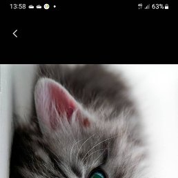 $&@, �������