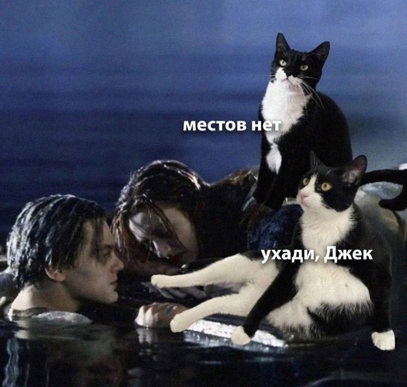  - 14  2025  17:05