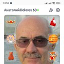 ���� ��������, �����, 64 ���� - ��������� 31 ��� 2025 � ������ ���� ����������