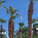 ���� �����, ������, 54 ���� - ��������� 23 ������ 2026 � ������ ���� ����������