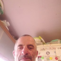 ������, �������, 46 ���