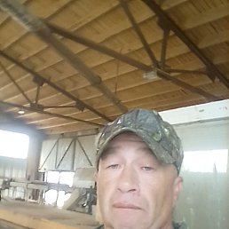 ���� ������, �����, 50 ��� - ��������� 27 ������� 2024