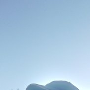 ������ ��������, 37 ���, ������